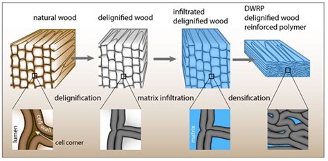 Cellolos – Den Magiska Kompositmaterialet För Framtiden!