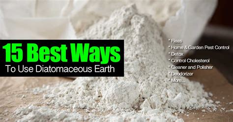  Diatomaceous Earth: Ett mirakulöst botemedel för vattenrening och isolering?