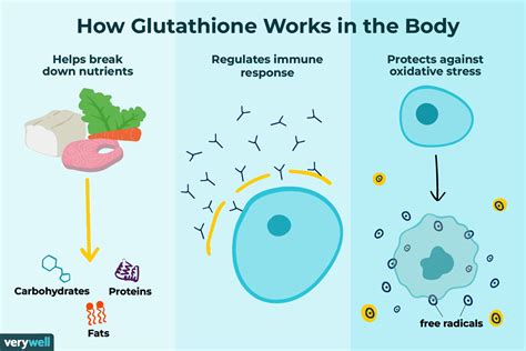  Glutation – En Kraftig Antioxidans i Fysiologiska och Industriella Applikationer!